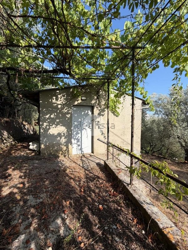 appartamento in vendita a Paliano in zona Sant'Anna