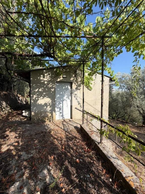 appartamento in vendita a Paliano in zona Sant'Anna