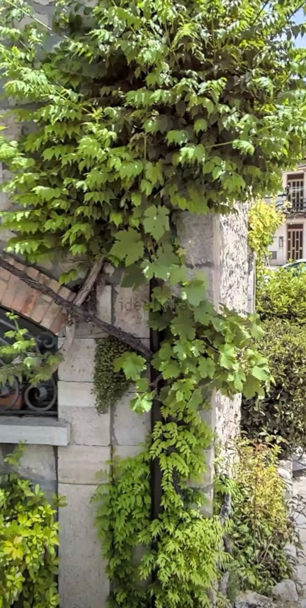 appartamento in vendita a Pastena