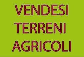 terreno agricolo in vendita a Patrica