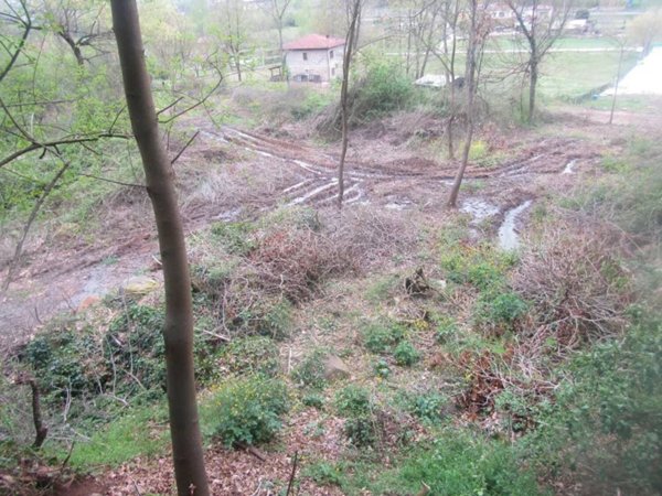 terreno agricolo in vendita a Patrica