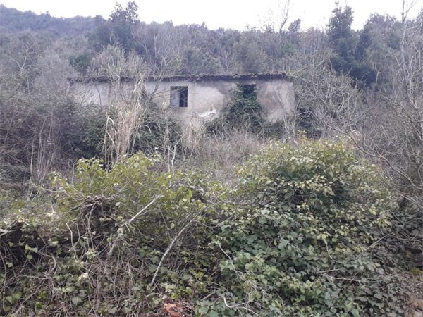 casa indipendente in vendita a Patrica