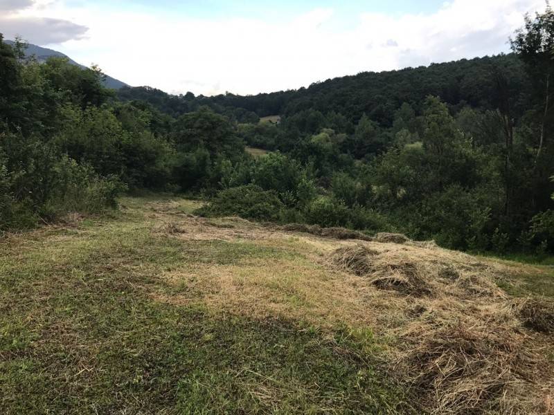 terreno agricolo in vendita a Patrica