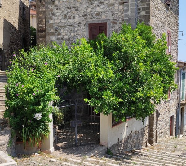 casa indipendente in vendita a Patrica