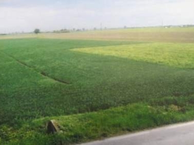 terreno edificabile in vendita a Patrica