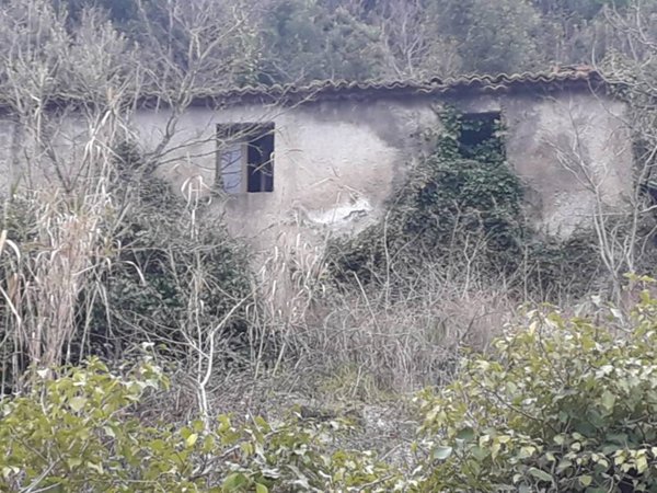 casa indipendente in vendita a Patrica