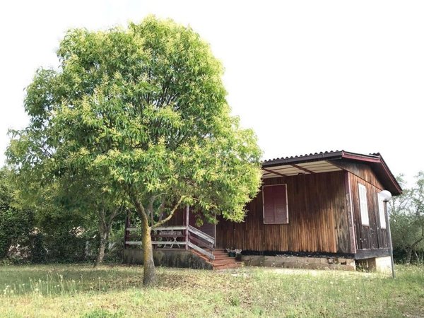 quadrivano in vendita a Patrica