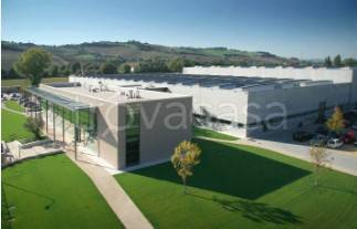 terreno agricolo in vendita a Patrica