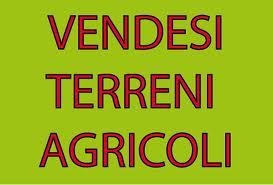 terreno agricolo in vendita a Patrica
