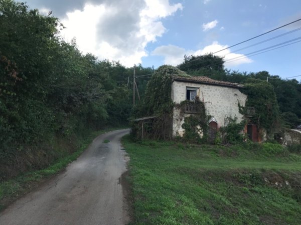 terreno in vendita a Patrica