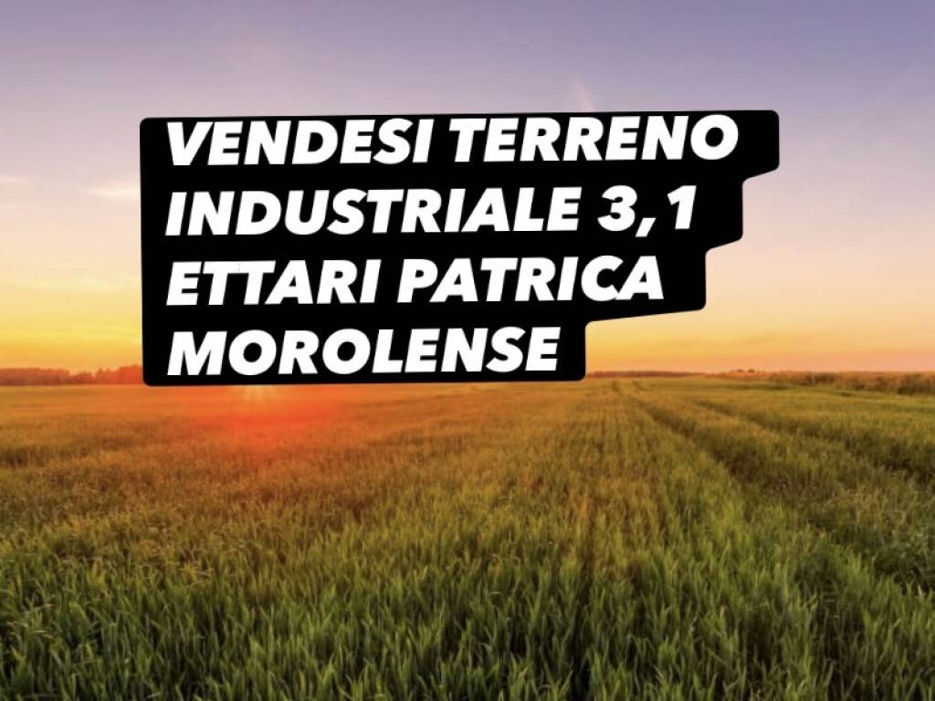 terreno agricolo in vendita a Patrica