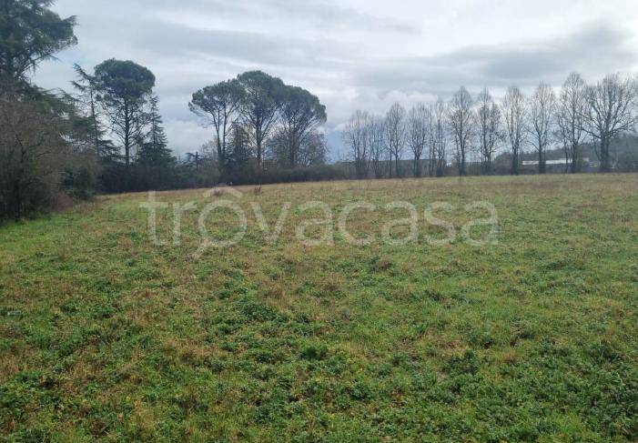 terreno agricolo in vendita a Patrica