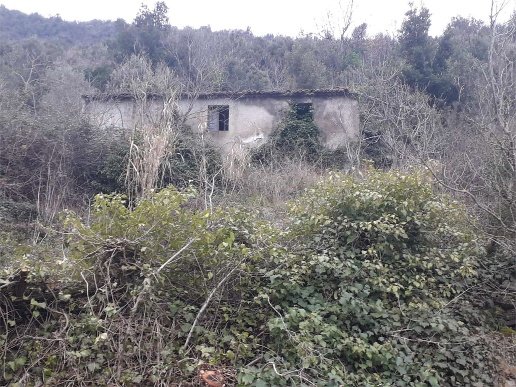 casale in vendita a Patrica