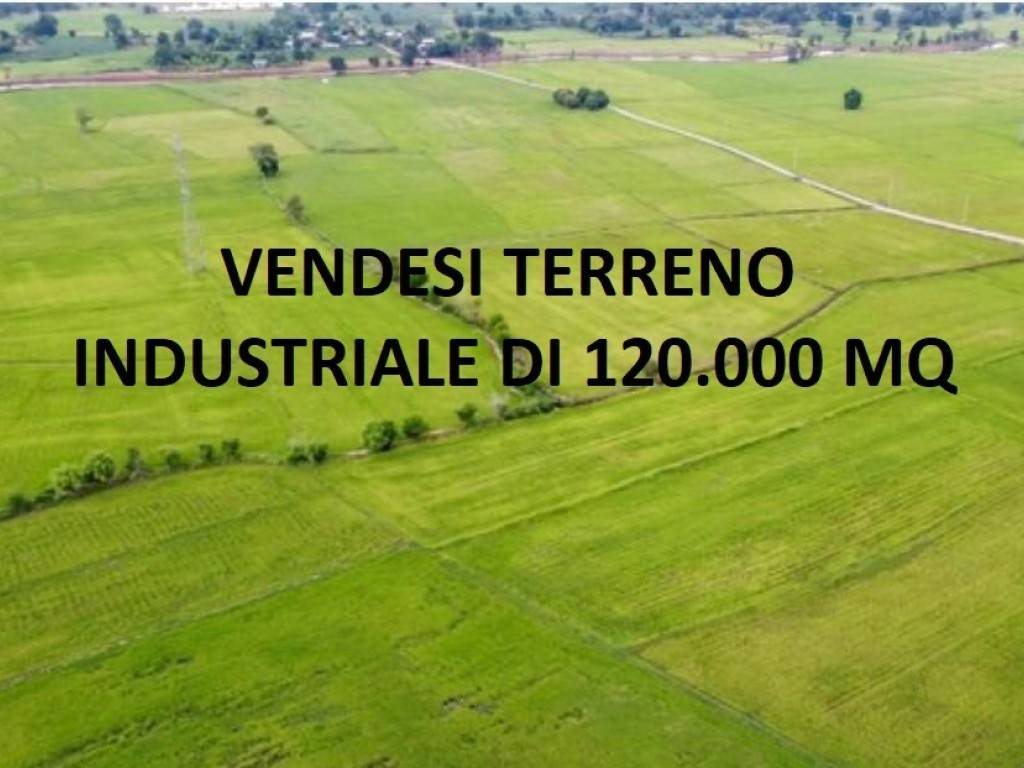 terreno agricolo in vendita a Patrica