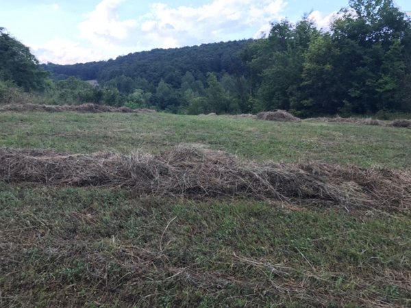 terreno in vendita a Patrica