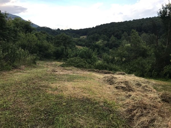 terreno in vendita a Patrica