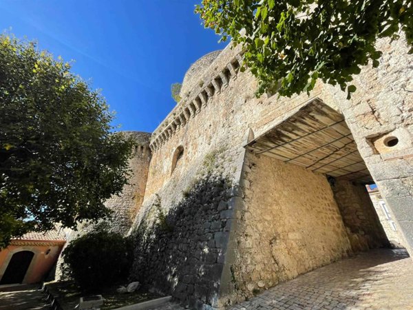 appartamento in vendita a Picinisco