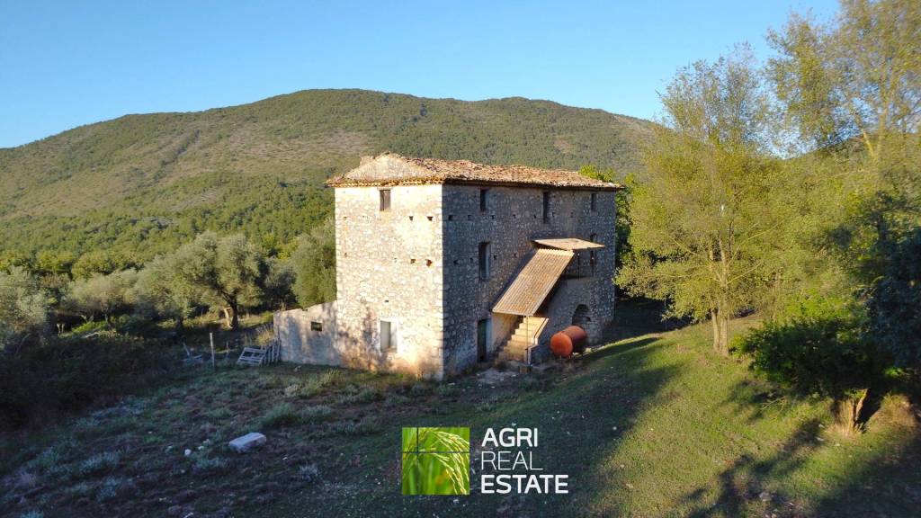 terreno agricolo in vendita a Pico