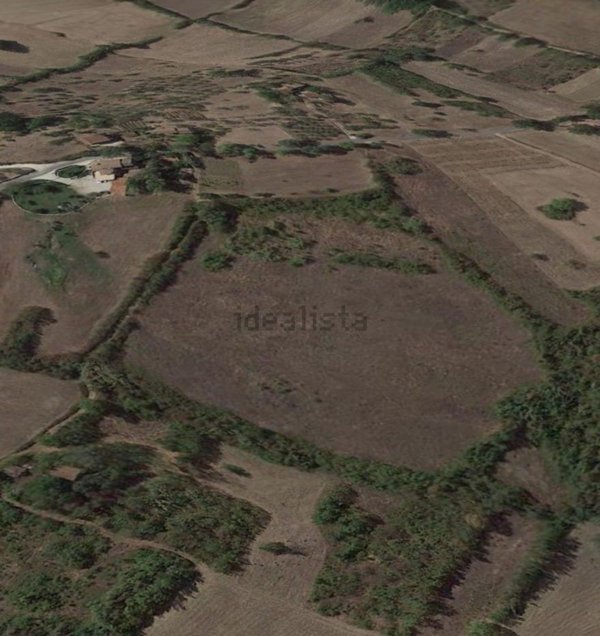 terreno agricolo in vendita a Pico