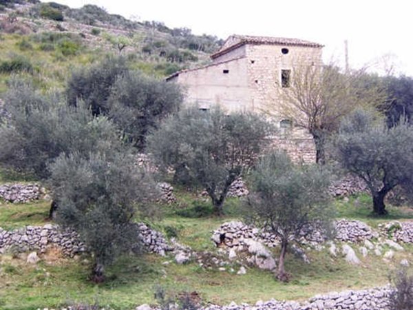 pentavano in vendita a Pico