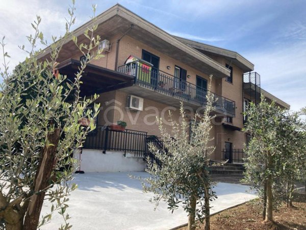 appartamento in vendita a Piedimonte San Germano