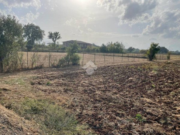 terreno agricolo in vendita a Piedimonte San Germano