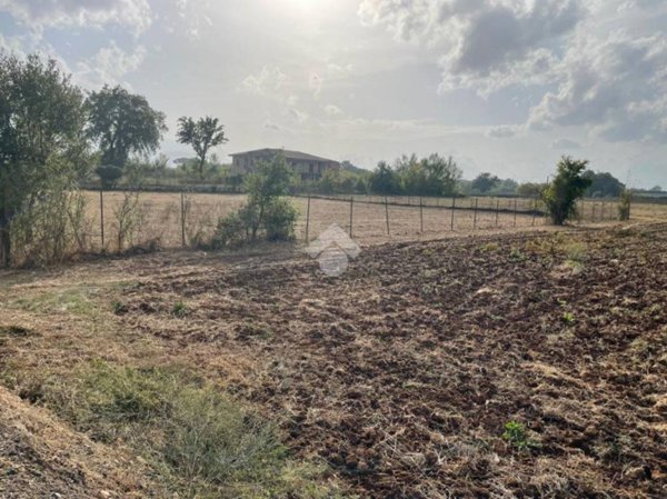 terreno agricolo in vendita a Piedimonte San Germano