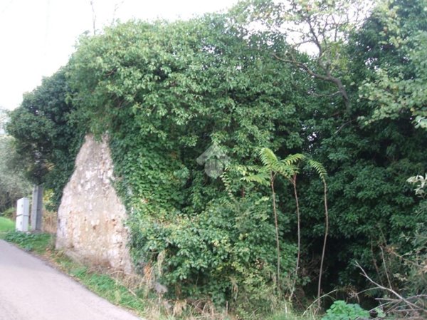 appartamento in vendita a Piedimonte San Germano