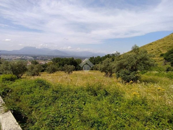 terreno agricolo in vendita a Piedimonte San Germano