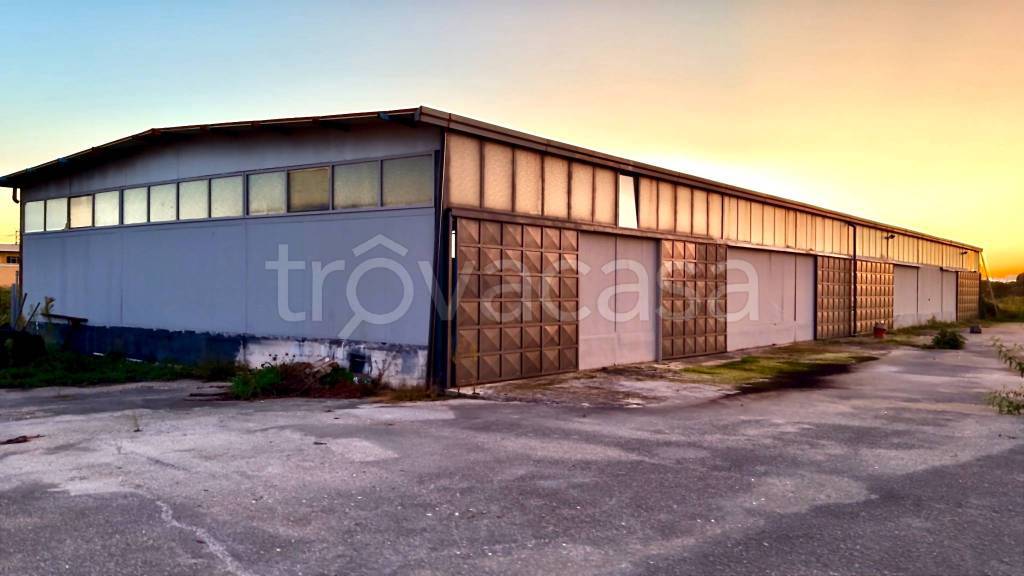 locale commerciale in vendita a Piedimonte San Germano