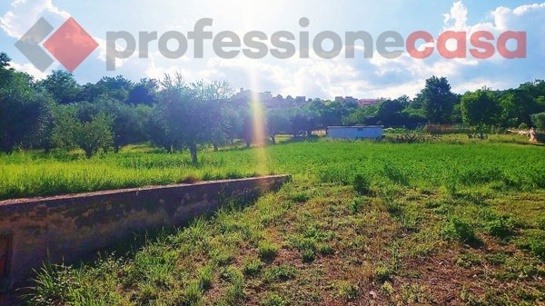 terreno agricolo in vendita a Piedimonte San Germano