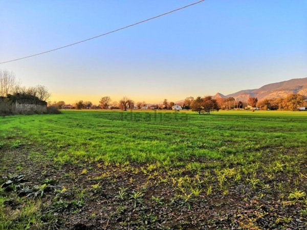 terreno agricolo in vendita a Piedimonte San Germano