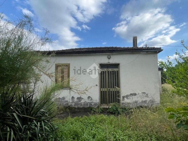 pentavano in vendita a Piedimonte San Germano