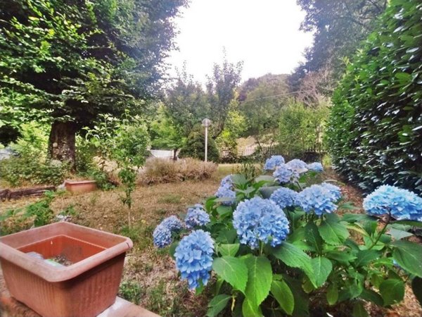 appartamento in vendita a Piglio