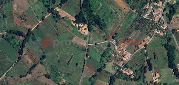 terreno agricolo in vendita a Piglio