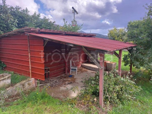 terreno agricolo in vendita a Piglio