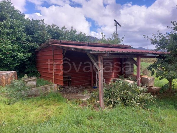 terreno agricolo in vendita a Piglio