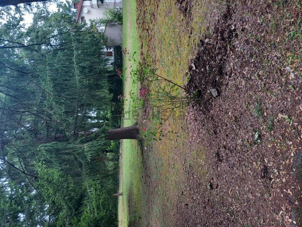 appartamento in vendita a Piglio