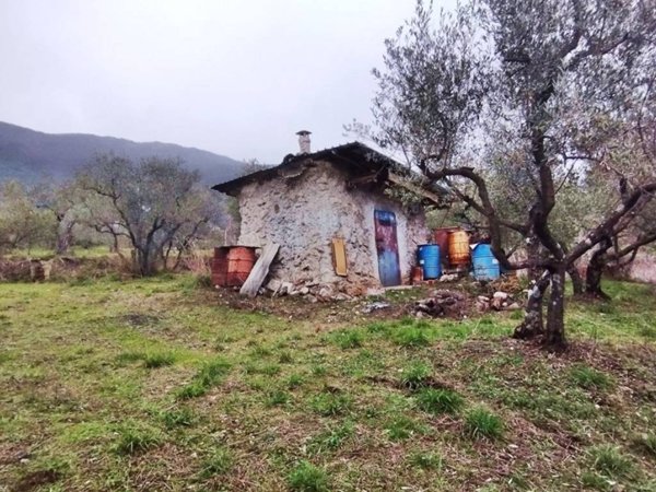 terreno agricolo in vendita a Piglio