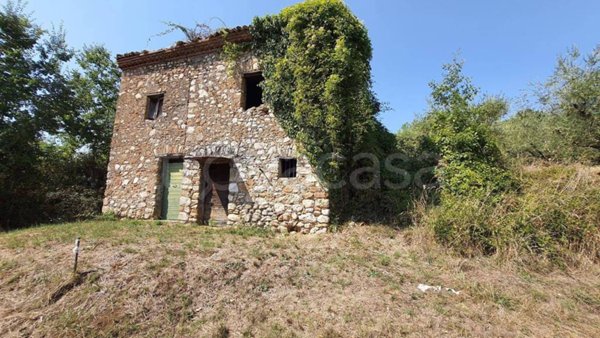 terreno agricolo in vendita a Piglio