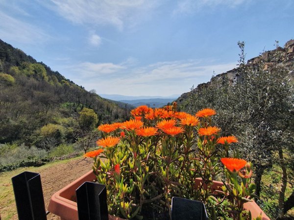 appartamento in vendita a Piglio