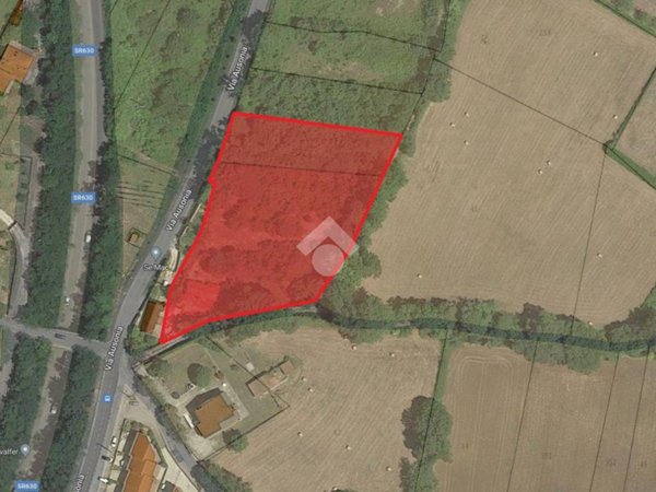 terreno agricolo in vendita a Pignataro Interamna
