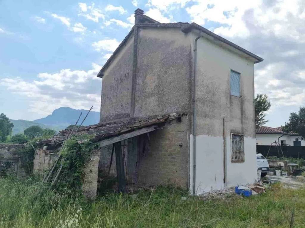 esavano in vendita a Pignataro Interamna