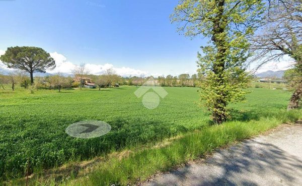 terreno agricolo in vendita a Pignataro Interamna