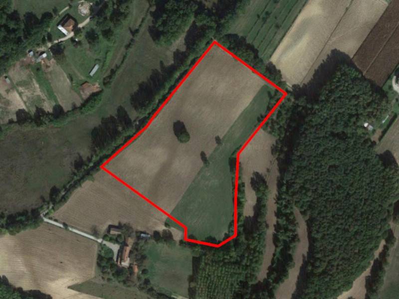 terreno agricolo in vendita a Pignataro Interamna