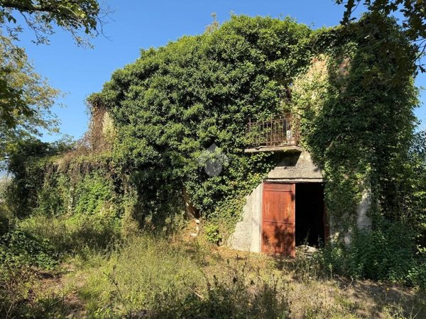 appartamento in vendita a Pignataro Interamna