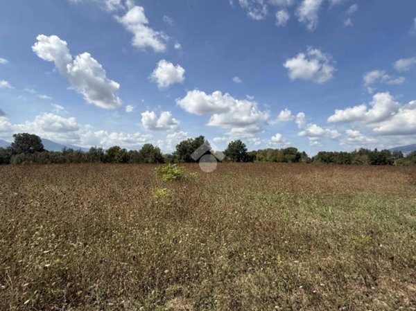 terreno agricolo in vendita a Pignataro Interamna