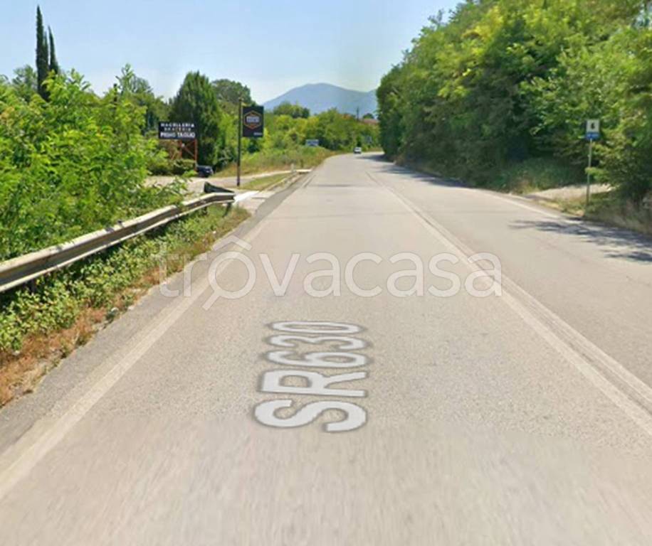 terreno agricolo in vendita a Pignataro Interamna
