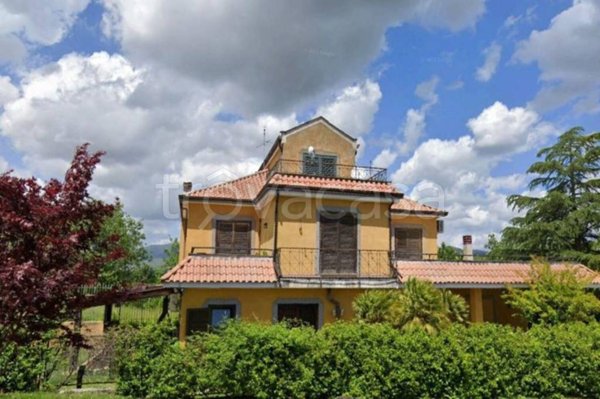 appartamento in vendita a Pignataro Interamna