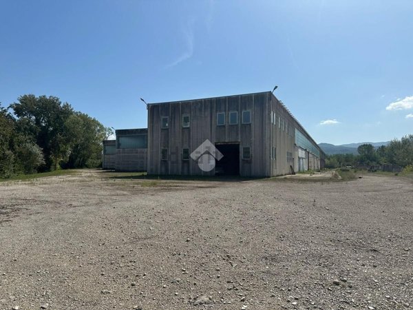 ufficio in vendita a Pignataro Interamna